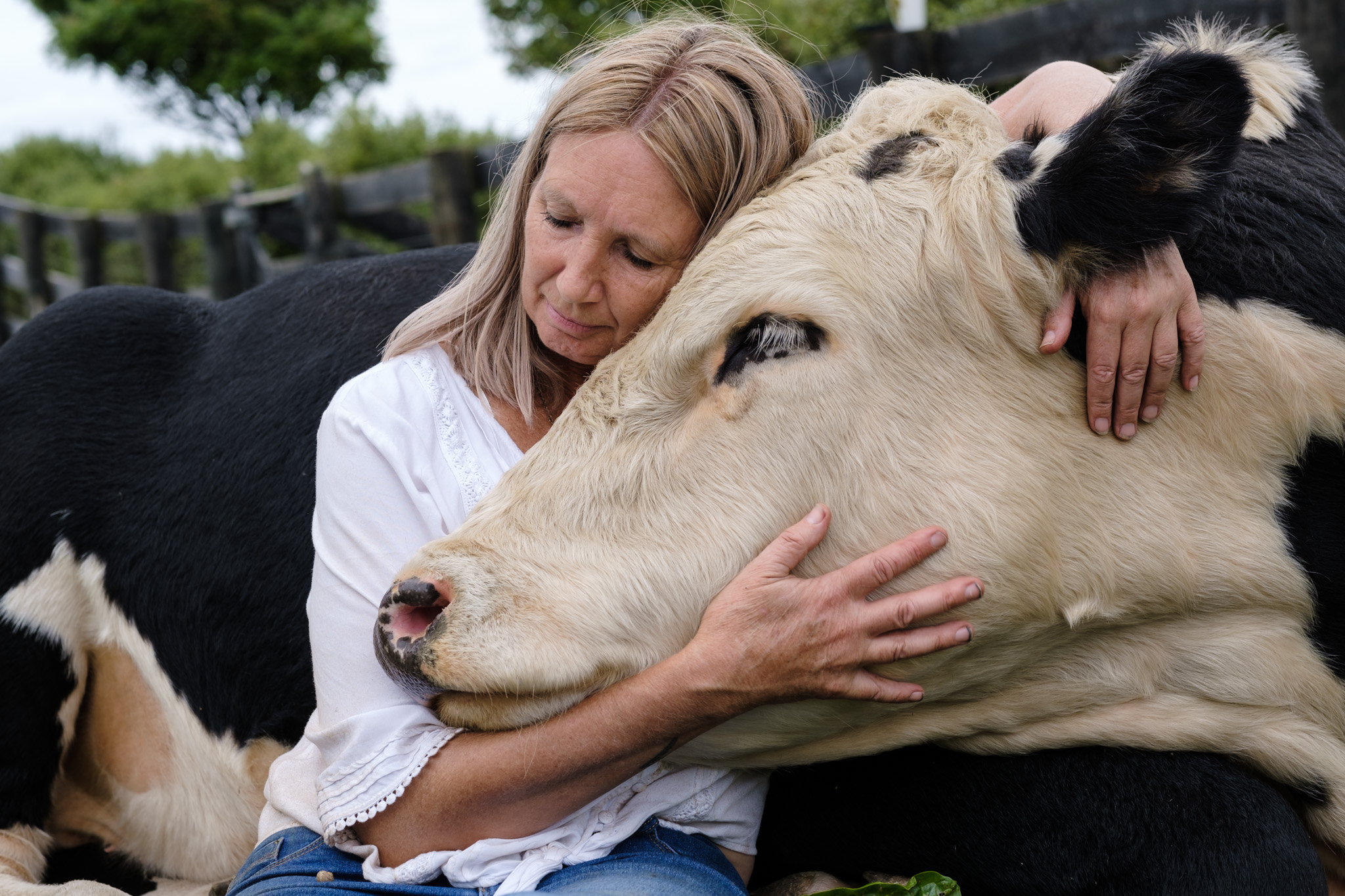 The Meat In My Mouth: Why I Became A Vegan – Dr Lynley Tulloch