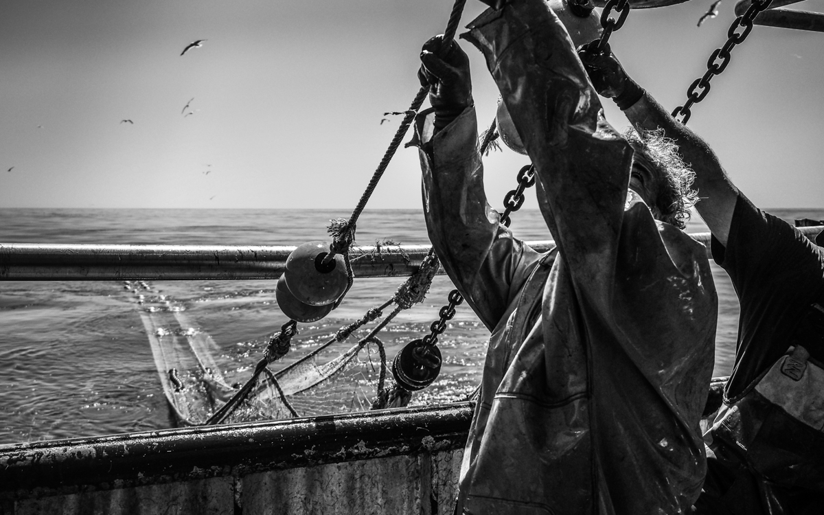 The Invisible Threat To Our Ocean Wildlife: Noise Pollution