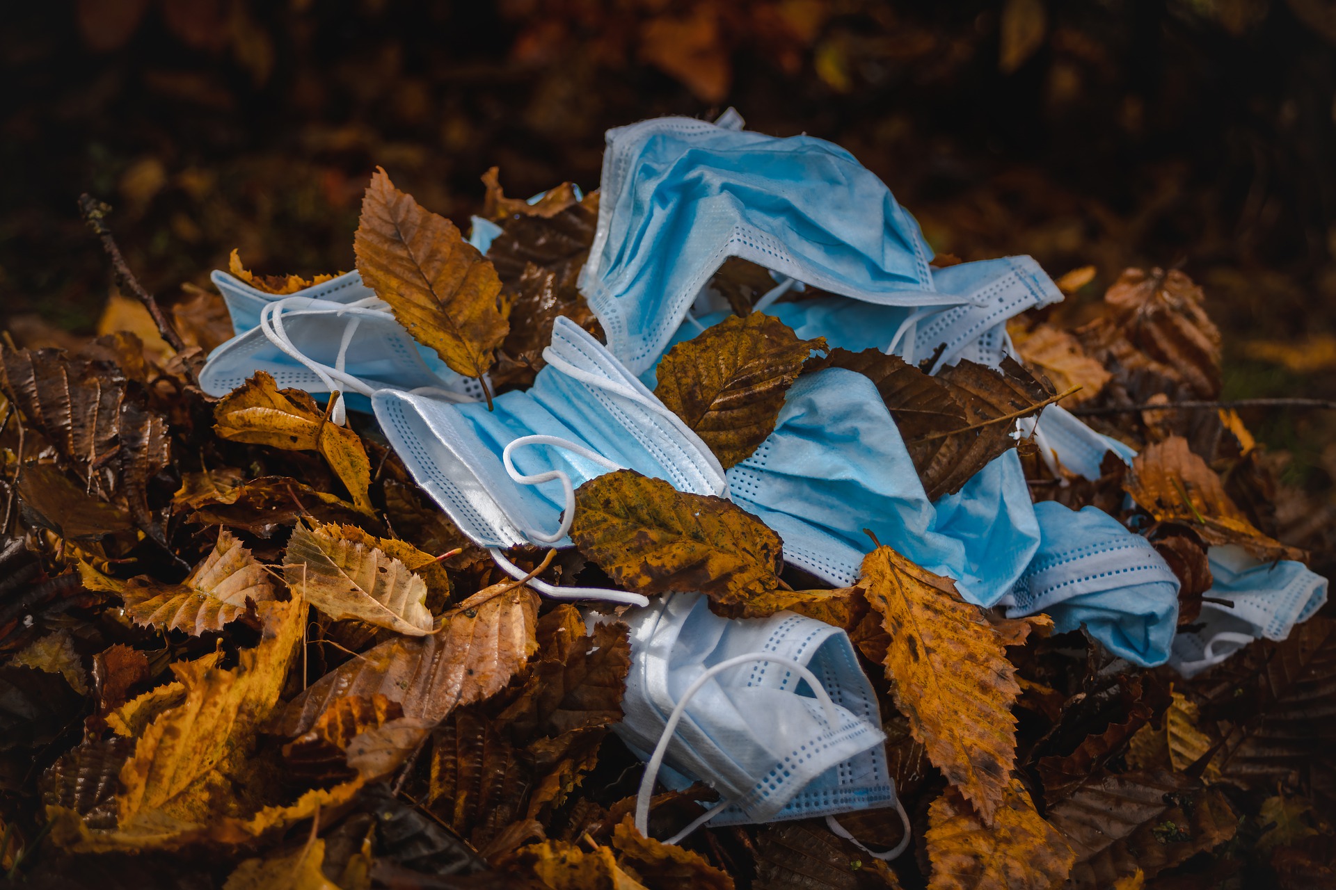 ‘I Am Covid’ – Poem by Lynley Tulloch