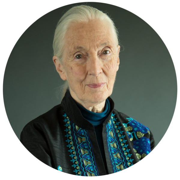 Jane Goodall signatory to letter calling for end of factory farming
