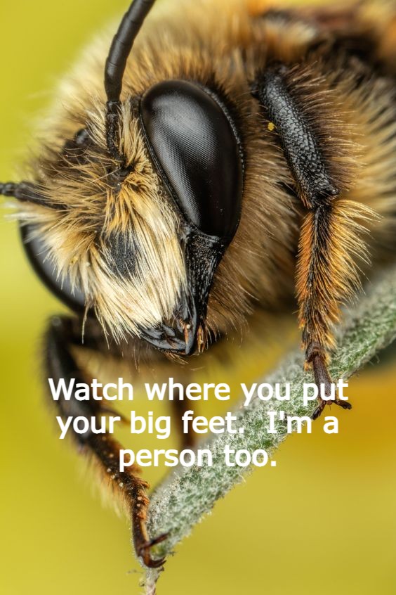 Invertebrates Have Mental Muscle