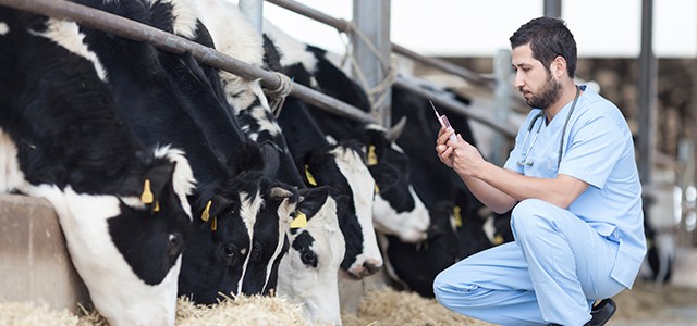Why aren’t more vets vegan?