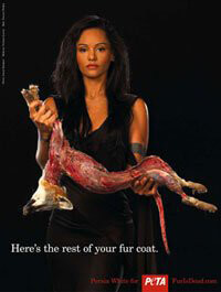 Here’s The Rest Of Your Fur Coat!