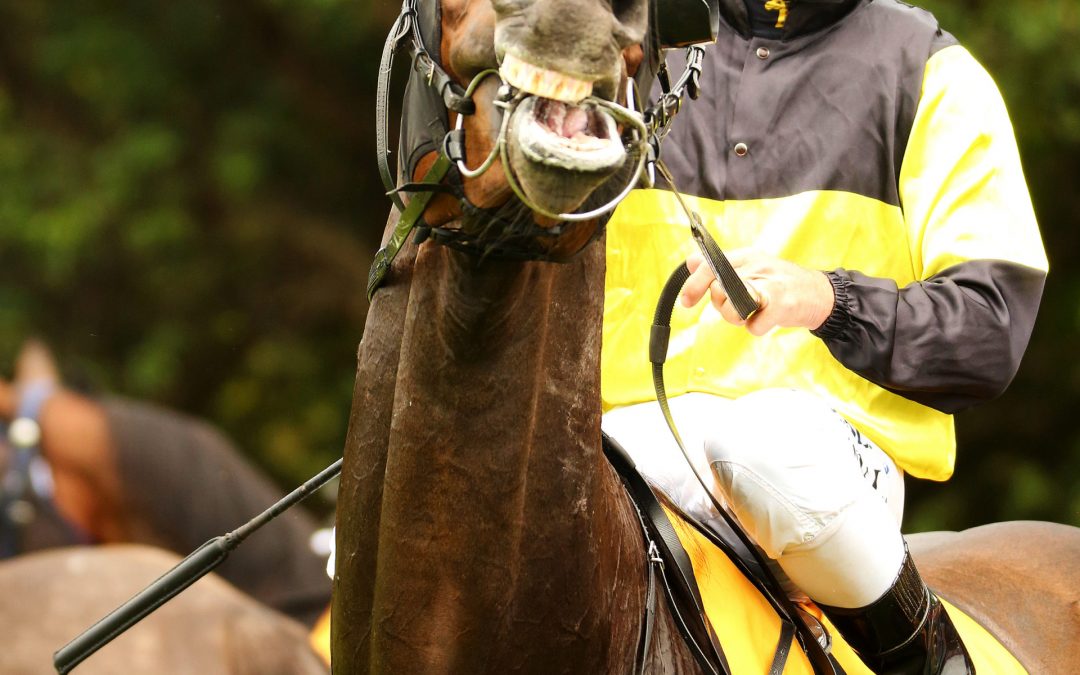 SUBMITTING TO PAIN – How The Bit Controls A Racehorse And Why It Is Cruel